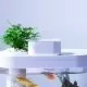 Аквариум умный Xiaomi AI Smart Modular Fish Tank Pro  - Изображение 142060