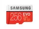 Карта памяти Samsung EVO Plus microSDXC 256Gb GA/RU Class10 UHS-I U3 + SD Adapter - Изображение 116098
