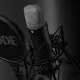 Микрофон RODE NT1 5th Generation Чёрный - Изображение 220880