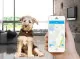 GPS трекер для животных Wonlex Pet Tracker PT02 - Изображение 82625