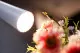 Лампа настольная Xiaomi Mijia Charging Table Lamp Белая - Изображение 135897