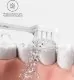 Электрическая зубная щетка Xiaomi Mijia Sonic Electric Toothbrush T200 Розовая - Изображение 219913