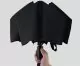 Зонт Pinlo Automatic Umbrella Чёрный - Изображение 220630