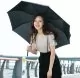 Зонт Pinlo Automatic Umbrella Чёрный - Изображение 220632
