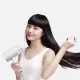 Фен Zhibai Ion Hair Dryer Белый - Изображение 114539