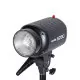 Комплект импульсного света Godox E250-D - Изображение 213918