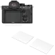 Защитное стекло SmallRig 3191 для Sony A7/A9/RX100/ZV1 (2 шт) - Изображение 155008
