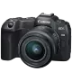 Беззеркальная камера Canon EOS R8 (+ RF 24-50mm f/4.5-6.3 IS STM) - Изображение 230083