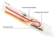 3D ручка низкой температуры AcmeWard Dream Starter Красная - Изображение 67932
