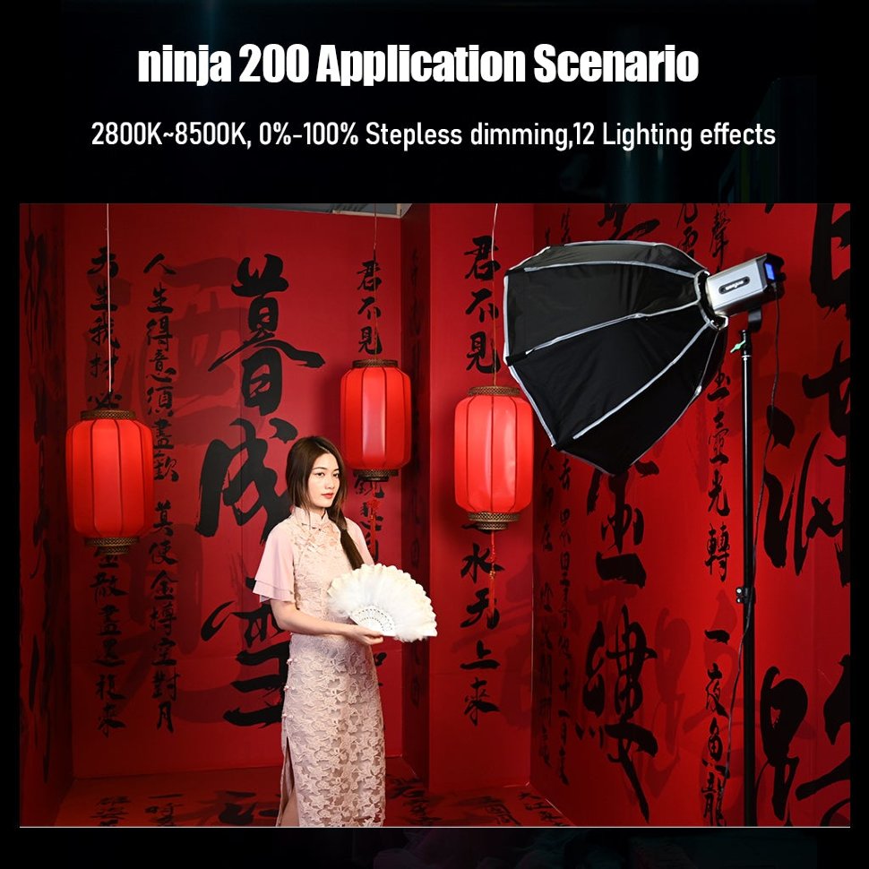 Осветитель Weeylite Ninja 200 +VP-05 - фото 5