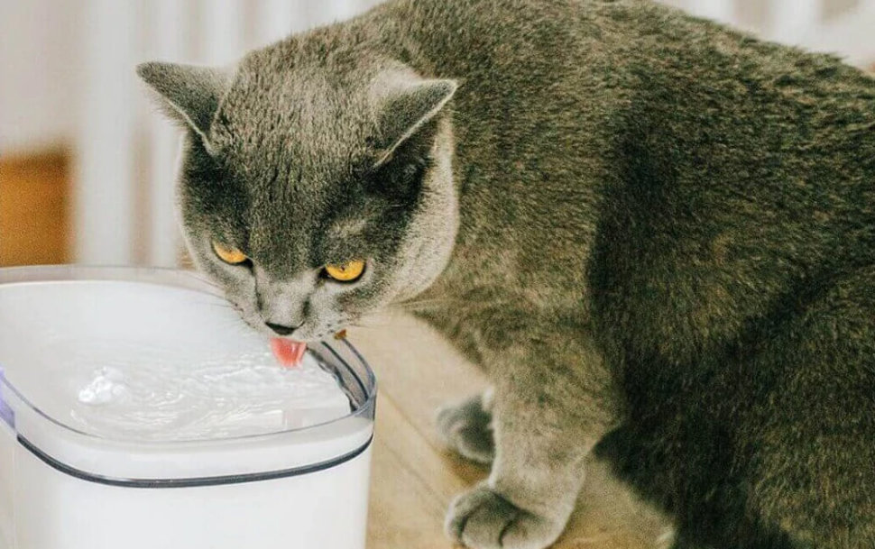 Поилка для животных Xiaomi Petoneer Smart Pet Water Dispenser Белая FSW030-M - фото 3