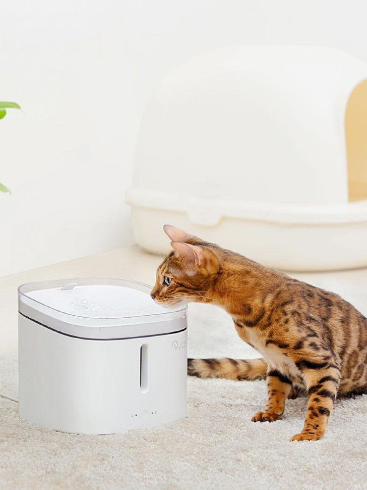 Поилка для животных Xiaomi Petoneer Smart Pet Water Dispenser Белая FSW030-M - фото 6