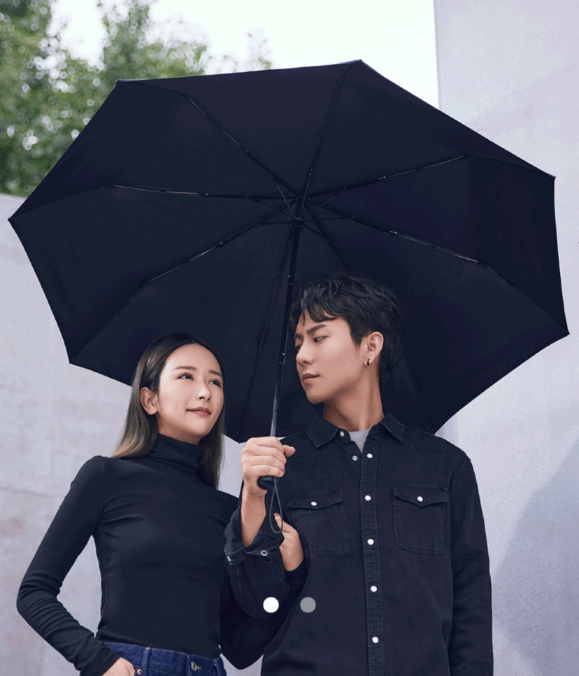 Зонт Daily Elements Super Wind Resistant Umbrella MIU001 Чёрный палатка зонт ifrit