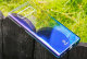Чехол Baseus Glaze для Galaxy Note 8 Розовый - Изображение 64814