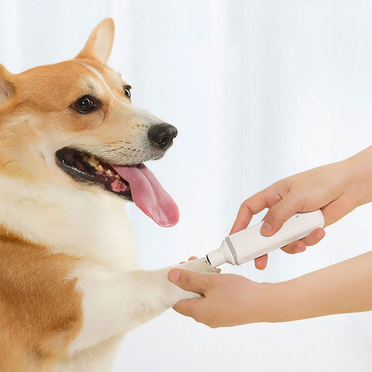 Триммер для когтей домашних животных Xiaomi Pawbby Pet Electric Nail Sharpener MG-NG001 Белый MG-NG0001A - фото 1