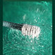Электрическая зубная щетка со стерилизатором T-Flash UV Sterilization Toothbrush Розовая - Изображение 167533