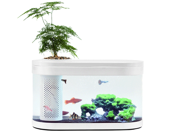 Аквариум Xiaomi Geometry Fish Tank Aquaponics Ecosystem С180, 21251-С300 - фото 9