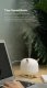 Увлажнитель воздуха Sothing Deer Humidifier & Light Белый - Изображение 113421