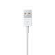 Кабель Apple Lightning - USB 1м (MQUE2ZM/A) - Изображение 120451