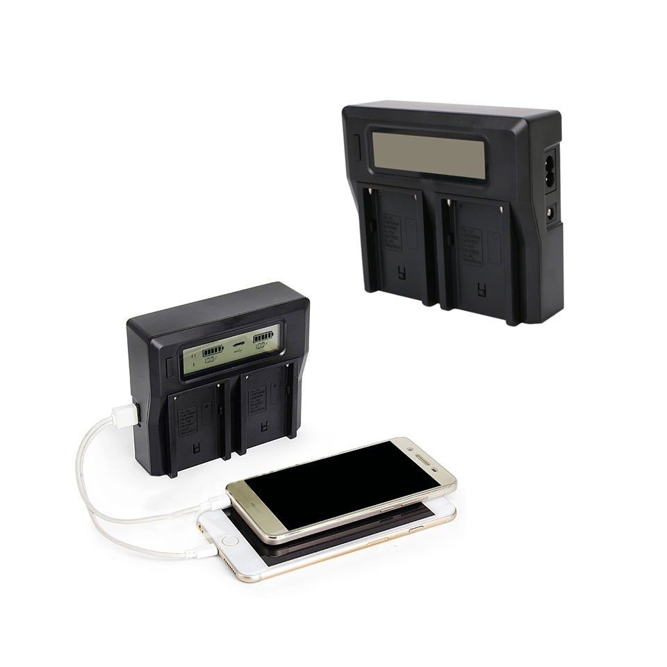 Зарядное устройство Ruibo Dual Battery Charger DC-LCD-001 (EU) DC-LCD-001-NP-F970/F750 - фото 5