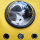Рюкзак-переноска Little Beast Star Pet School Bag Breathable Space Жёлтый - Изображение 167921