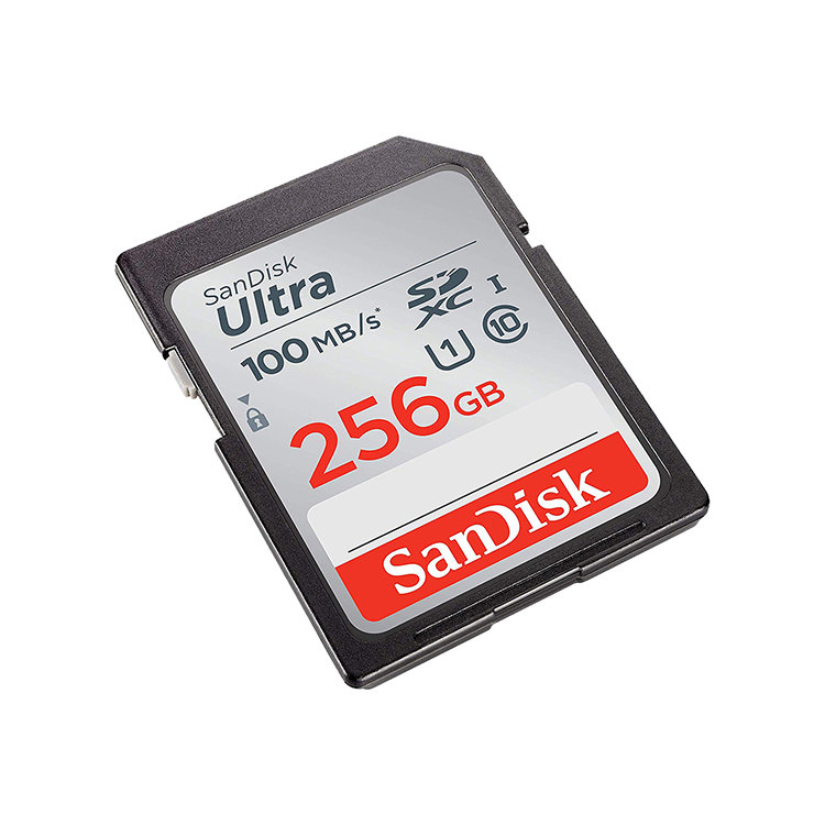 Карта памяти SanDisk Ultra 256GB SDXC Class 10 UHS-I SDSDUNR-256G-GN6IN - фото 1