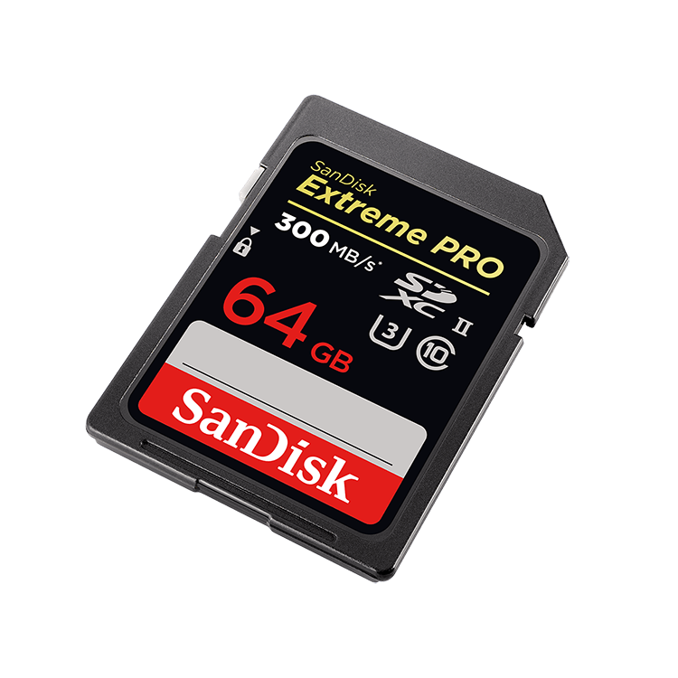 Карта памяти Sandisk Extreme Pro SDXC 64GB UHS-II SDSDXPK-064G-GN4IN - фото 1