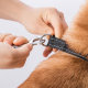 Поводок для собак Jordan & Judy Pet Retractable Rope PE042 - Изображение 166142