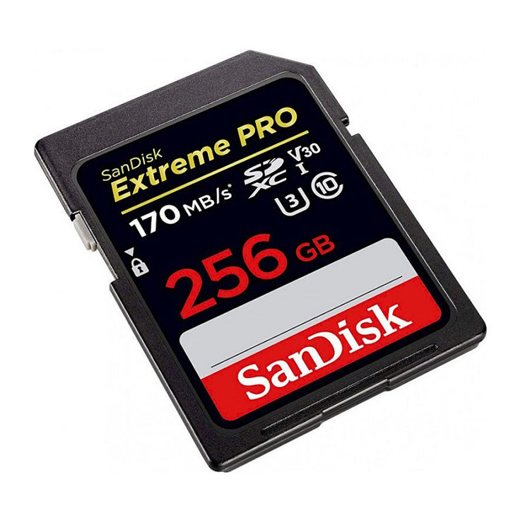 Карта памяти Sandisk Extreme Pro SDXC Card 256GB V30 UHS- I U3 SDSDXXY-256G-GN4IN - фото 1