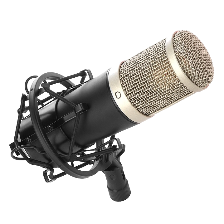 Микрофон Recording Tools MCU-02 + стойка и амортизатор - фото 4