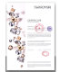 Чехол PQY Exquisite для iPhone X/Xs Blossom - Изображение 60023