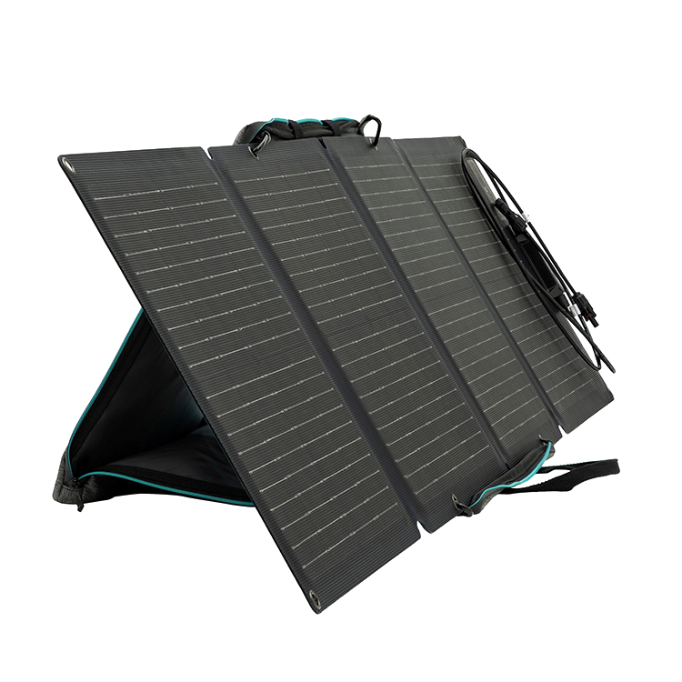 Солнечная панель EcoFlow Solar Panel 110W EF-Flex-110 - фото 1