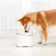 Поилка для животных Kitten & Puppy Pet Water Dispenser - Изображение 114494